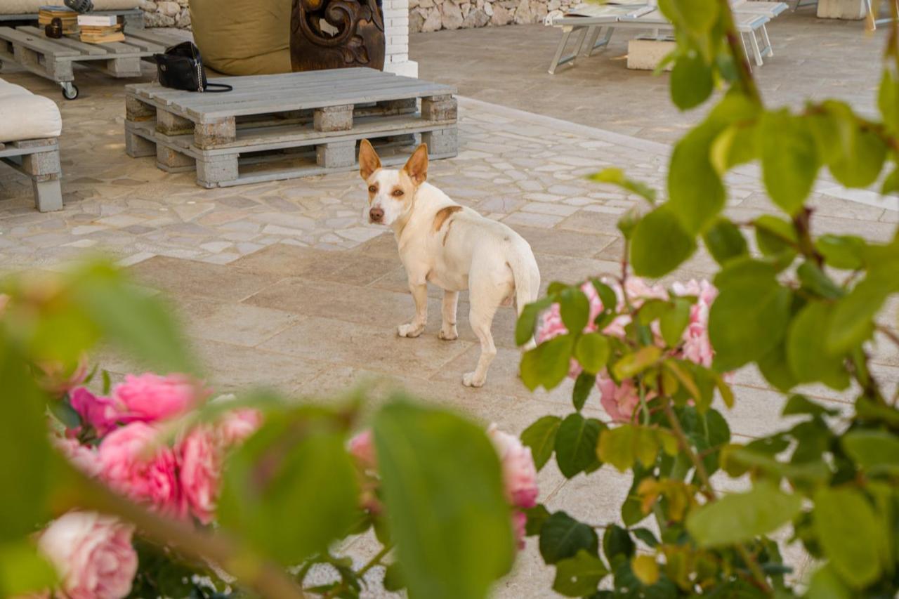 Borgo Canneto Rodi Garganico Buitenkant foto